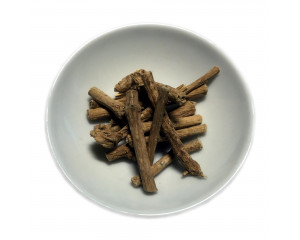 Silene - Traumwurzel